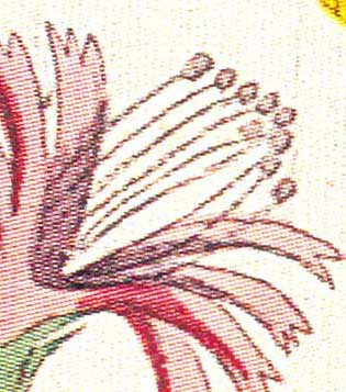 offsetdetail